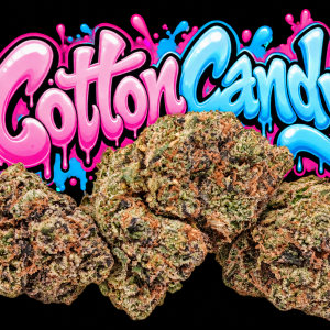 Cotton Candy flower and graffiti lettering on a solid black background