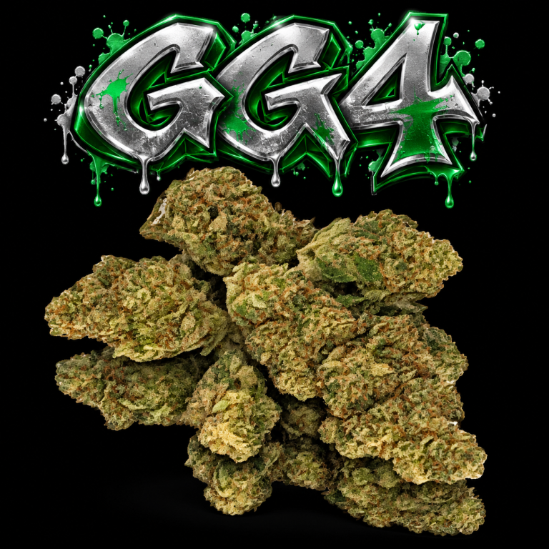 GG#4