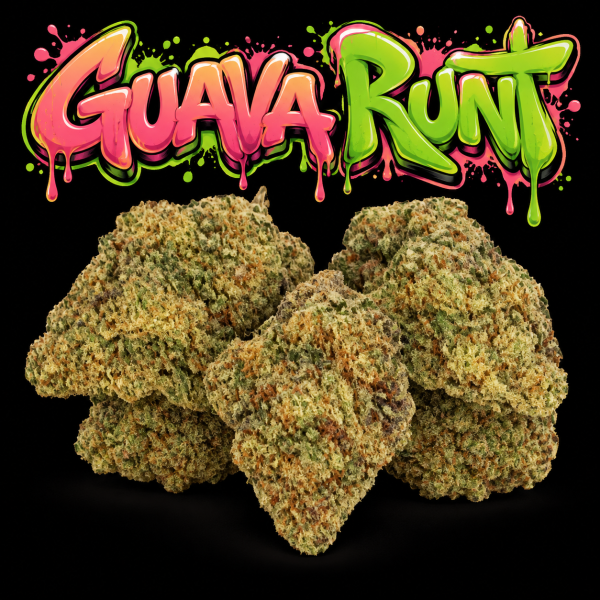 Guava Runt