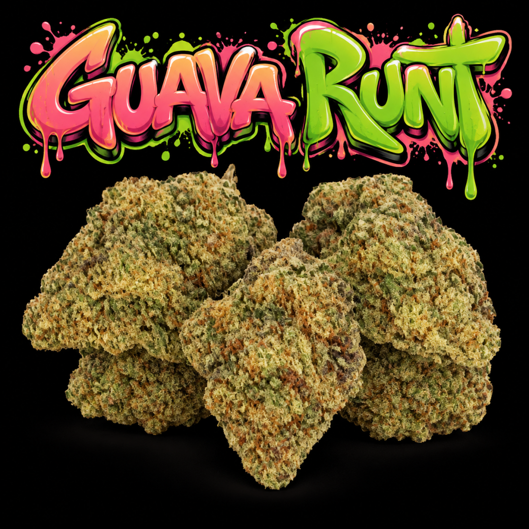 Guava Runt