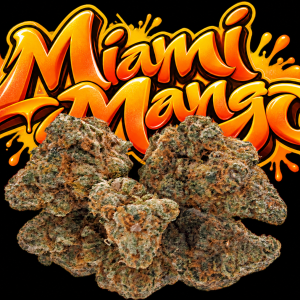 Miami Mango flower and graffiti lettering on a solid black background
