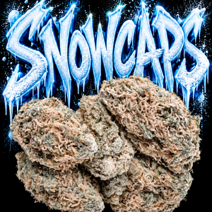 Frosted Snow Caps flower on a black background with icy blue and white Snowcaps graffiti