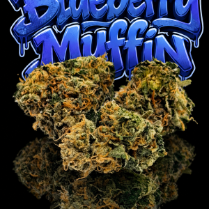 Blueberry Muffin